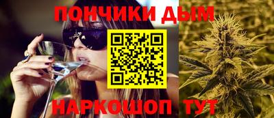 гашик Можга