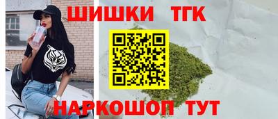 гашик Можга