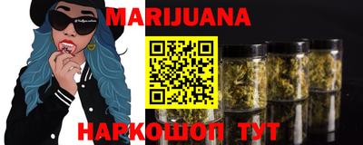гашик Можга