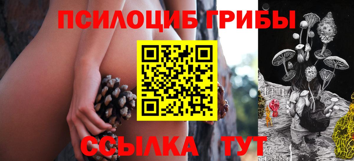 Галлюциногенные грибы Cubensis  Вход с VPN  Борзя 